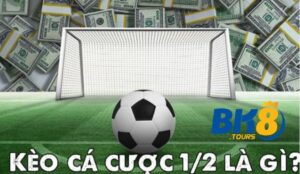 Kèo Chấp 1/2 Tại Bk8 Nơi Cá Cược Hay Nhất Năm 2025  3 Khái niệm Kèo Chấp 1/2 là gì?
